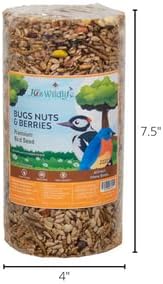 Miniatura 4 de JCs Wildlife Cilindro pequeño de semillas de pájaro prémium para insectos, nueces y bayas, 1.5 libras (4 cilindros)