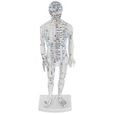 Modèle Humain D’acupuncture pour Points et Méridiens, Médecine Chinoise