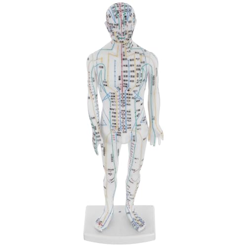 KAJNBN Mannequin de Point D'acupuncture Humain Blanc en Plastique, Modèle Réaliste pour Apprentissage des Méridiens et Utilisation à Domicile
