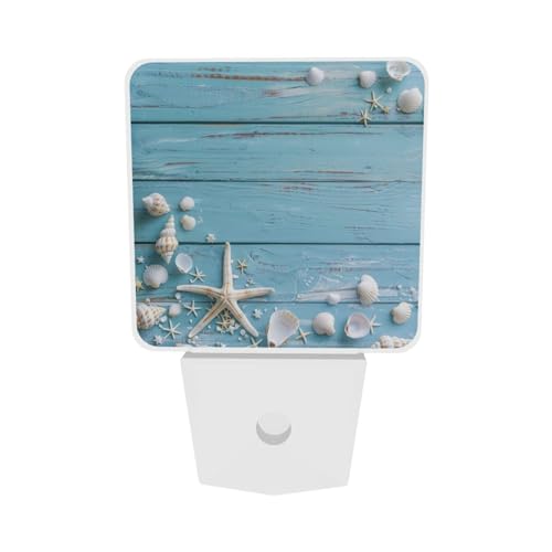 Image of Seashell Night Light Plug-in LED Lamp Set of 2, Dusk to Dawn Auto Sensor Summer Beach Board Nightlights 2 Pack