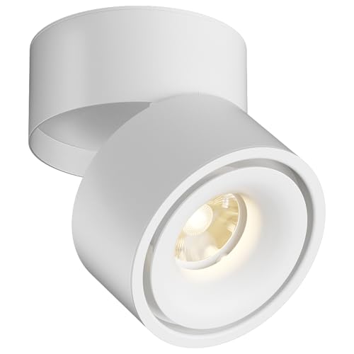 Image of ziidoo Spotlight Indoor Ceiling LED Lights,12W Modern Spot Light Fixtures 4000K White Lamp 360Adjustable Picture Wall Sconce for Living Room Hallway Gallery Flush Mount Directional (mid, Count, 1)