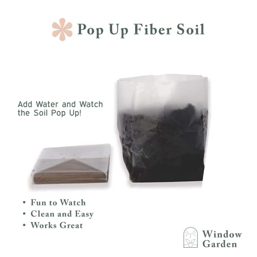 Window Garden Bean Sow Much Fun Seed Starting, Vegetable Planting And Growing Kit For Kids, 3 Self Watering Planters, Soil, Seeds And Puffy Stickers. No Mess, Easy, Works Great! #TOP3