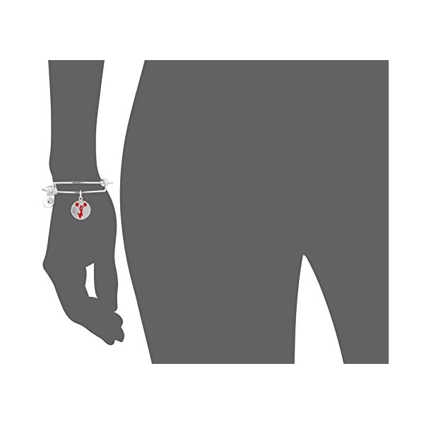 Alex and Ani Halos & Glories, Cheerleading Shiny Silver Bangle Bracelet