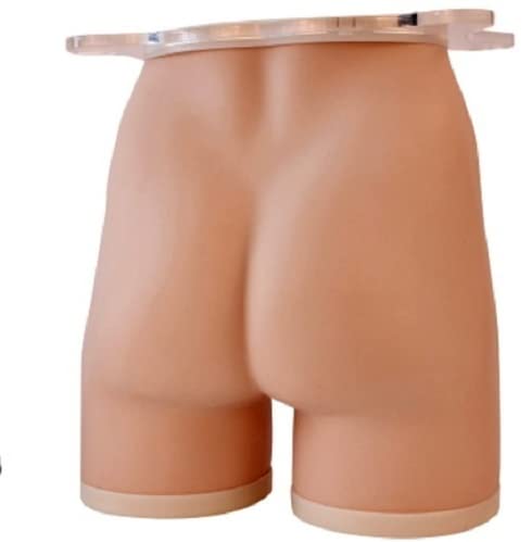 AjantaExports Buttock injection model Intramuscular injection training Injection training model