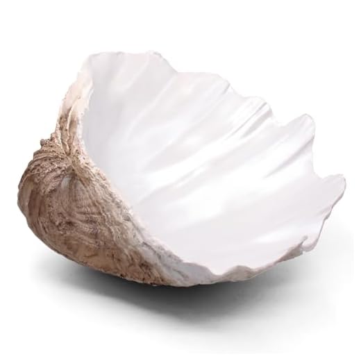 Extra Large Decorative Clam Shell Bowl