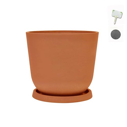 Greenship 12 ^gCZbg k}bg GRfށi60%{Ε40%jϋv悢 OpieRb^[j