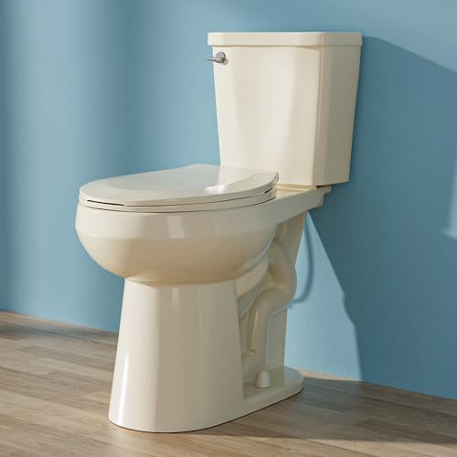 HOMLYLINK Compact Tall Toilet 19 Inch for Seniors