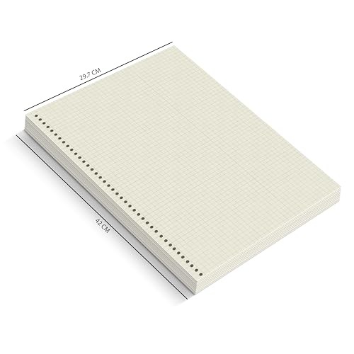 Image of PaperO A3 Punched Loose Leaf Square Grid Sheet /Grid Paper | 100 GSM | 100 Sheets | A3 (42 x 29.7cm) | Ideal for Artists & Designers | Suitable for Spiral Binding