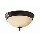 Hampton Bay Lighting 2-Light Oil-Rubbed Bronze Flush Mount with Glass Shade, RS190302