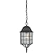 Satco - Adams - 1 Light - 16" Outdoor Hanging W/ Frosted Glass