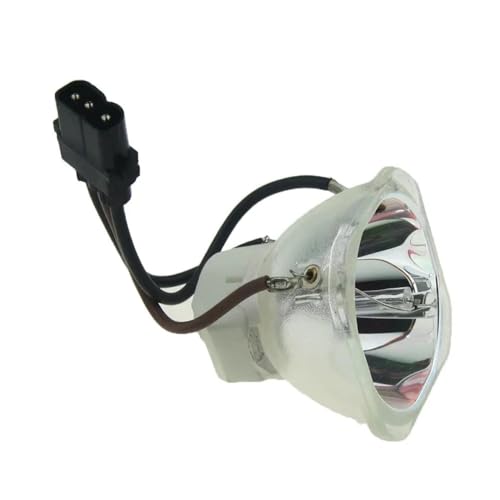 Ampoule projecteur V13H010L80 pour corriger l'image terne sur Powerlite 585W