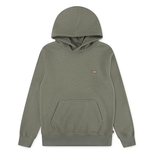 Levi's Kids Mini Batwing Hoodie Hooded Sweatshirt Green, grün, 16 Jahre