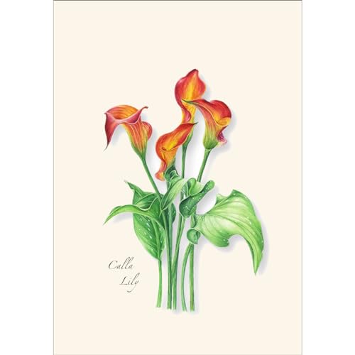 Image of Earth Sky + Water - Calla Lily Assortment Notecard Set - 8 Blank Cards with Envelopes (4 each of 2 styles)
