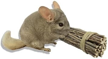 Willow Value Pack - Natural Safe Woven Wood Chew Toys - Hamsters, Guinea Pigs, Rabbits, Hedgehogs, Chinchillas, Rats, Ferrets, Sugar Gliders, Squirrels, Prairie Dogs, Marmosets, Degus, Small Pets