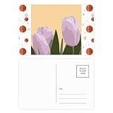 Fanatic Tulip Holanda - Juego de tarjetas postales de baloncesto (20 unidades)