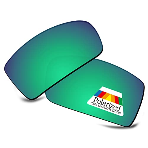 Bwake Replacement Lenses for Revo Thrive Sunglasses RE4037 POLARIZED