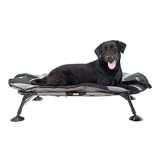 Momarsh Elevated Dog Cot With Washable Soft Pad & Folding Frame For Travel & Home Use| All In One Pet Bed Cot System For Dogs #TOP4