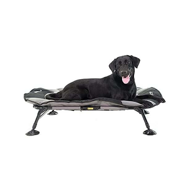 Momarsh-Elevated-Dog-Cot-with-Washable-Soft-Pad-Folding-Frame-for-Travel-Home-Use-All-in-One-Pet-Bed-Cot-System-for-Dogs Momarsh Elevated Dog Cot: Ultimate Bed for Pets