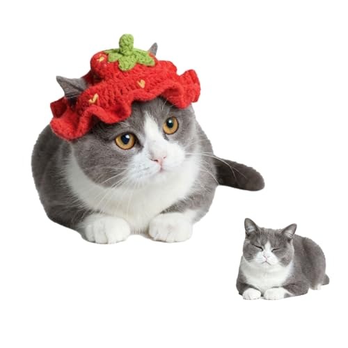Strawberry Party Hat for a Cat