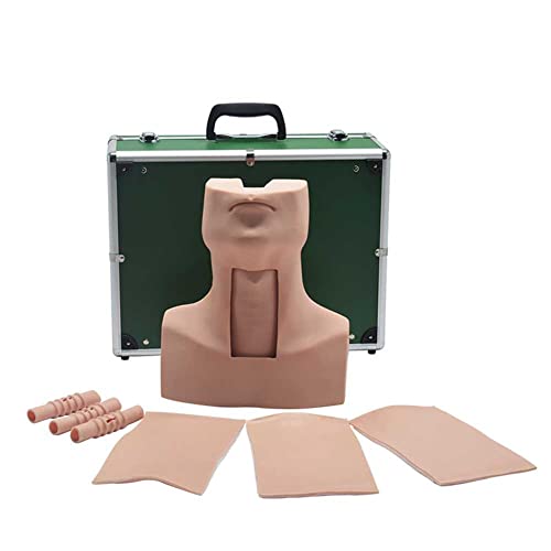 Ghde&Md Tracheostomy Simulator Model Cricothyrotomy Care Training Manikin With 4X Simulated Trachea, 4X Neck Skin And Aluminum Case #TOP3