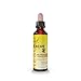 RESCUE PETS – Tropfer – Gelassenheit für Haustiere – Ideal für Reisen, Tierarztbesuch, Fellpflege, Lärm und Einsamkeit – ohne Alkohol, natürlich und vegan – Flasche 20 ml