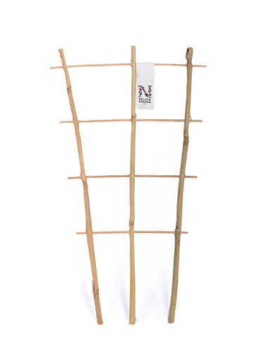 Dekoratives Rankgitter aus Bambus - Nelson Garden Rankhilfe für innen &...