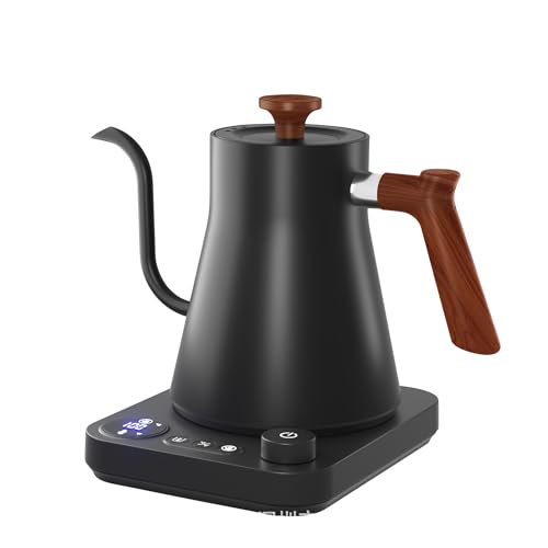 Gooseneck Electric Kettle with Precise Temperature Control