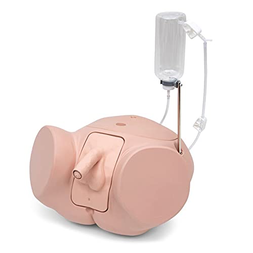 Catheterization Simulator PRO, male