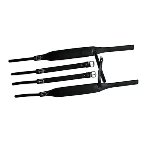 Generic AR[fBIp̒\ȃXgbvƃxg, Q