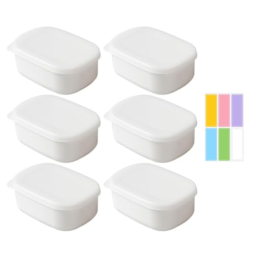 ZBHDEYG Fiambrera de 6 piezas, 1 hoja con 6 etiquetas de clasificación, caja de almacenamiento con tapa, recipiente de plástico, conservas con tapa, recipiente de almacenamiento pequeño, recipiente