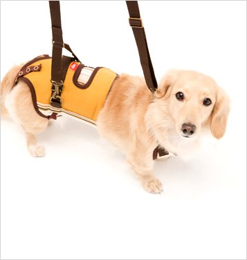 歩行補助ハーネス 小型犬ダックス用　М　ララウォーク 犬用歩行補助ハーネス LaLaWalk 小型犬用 スクール