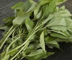 Miniatura 3 de 0.63 oz - 9000 semillas de espinaca egipcia - Día de Rau - Corchorus Olitorius Molokhia, Ewedu, yute, semillas de saluyot | Sin OMG | Orgánico |