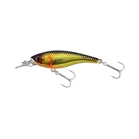 Amazon.co.jp: JACKALL(ジャッカル) ソウルシャッド 58SSR F HL