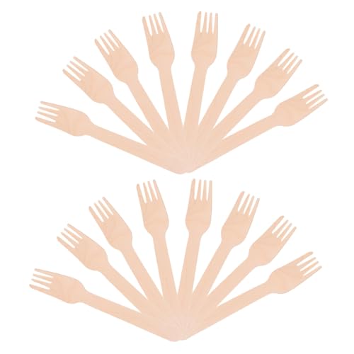 SOESFOUFU 300~jؐtH[N ^fUCŃP[L t[c T_ p Xe[LΉ prȐHpAyU[tH[N  Xg