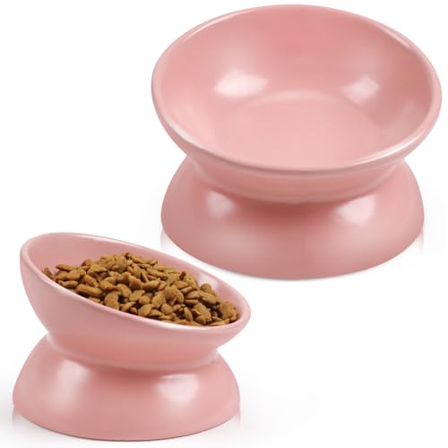 Rapsrk Raised and Tilted Pet Cat Food Bowl,5 Inches Ceramic Cat Food Bowl Tilted Protect Spine, Stress Free, Prevent Vomiting Cat Dishes cat Food Bowl(Pink)