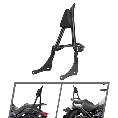 Mofun Sissy Bar with Detachable Rack