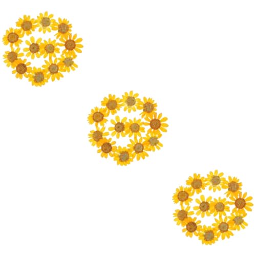 72pcs Flores Secas de Margarita para Manualidades miniatura 1