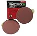 INDASA 40 Grit 6'' Sticky Back DA Sandpaper Rhynostick 600-40 (50 Sheets/Box)