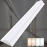 逆富士型 LEDベースライト 40W形 2灯�