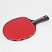 HONGGE Bois Hybride Professionnel 9.8 Raquette de Tennis de Table avec pimples de Marque dans Le Tennis de Table en Caoutchouc glacée CS Pic Ping Pong Bat (Color : CS Handle)