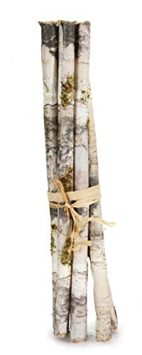 Darice HR38018 Floral Faux Birch Bundle 11.8 Inches, 11.75