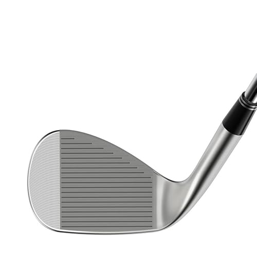 クリーブランドゴルフ(Cleveland Golf) ウエッジ RTZ ツアーサテン FULL(バンス角12度) フレックスS メンズ 右利き 4枚目