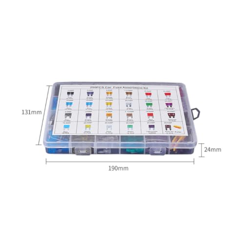 Kit de 250 fusibles para automóvil con identificación codificada por color y diseño fácil de usar, incluye fusibles estándar para auto y camión, ABS y aleación de zinc, en caja de almacenamiento miniatura 2