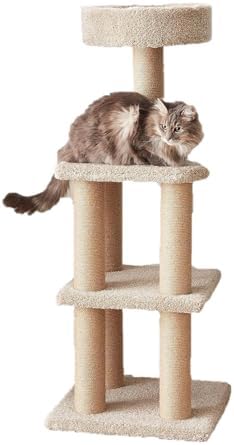 Amazon Basics Cat Tree Tower — shown in a real home setting for scale