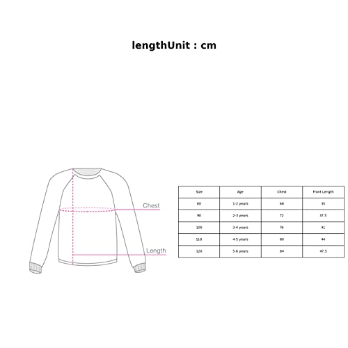Image of Hopscotch Boys Cotton Blend Round Neck Sweatshirt