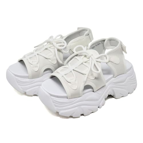 [un^[] T_ [XAbv  7cmq[ X|[c vbgtH[ EhgD 1684 fB[X I[zCg small