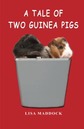 A Tale of Two Guinea Pigs (Teddy and Pip)
