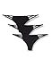 Produktbild Amazon-Marke: Iris & Lilly Damen Stringtanga aus Mikrofaser, 3er-Pack, Schwarz (Black Beauty), M, Label: M