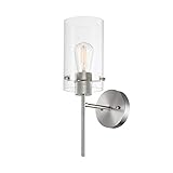 Globe Electric Cusco 1-Light Wall Sconce, Brushed Nickel, Clear Glass Shade 51361, Bulb Not Included