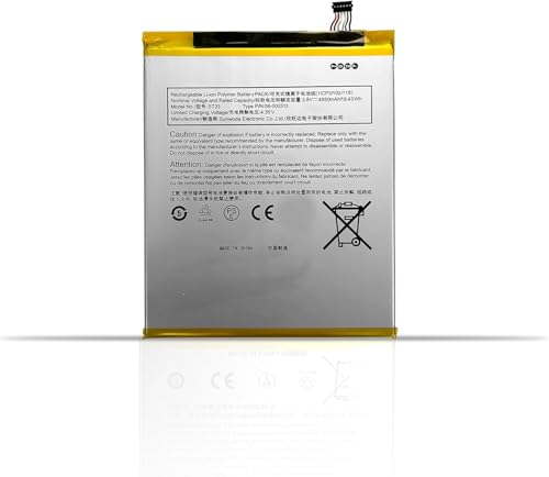 Batterie pour tablette Tenth génération ST33 idéale pour vos voyages